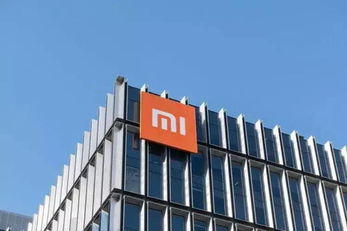 雷軍“All in”造車 軟件定義汽車時代的關鍵布局